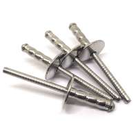 SS 304 316 Stainless Steel Blind Rivet