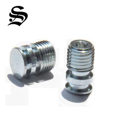 Made in Taiwan cold forged special part stainless steel fastener